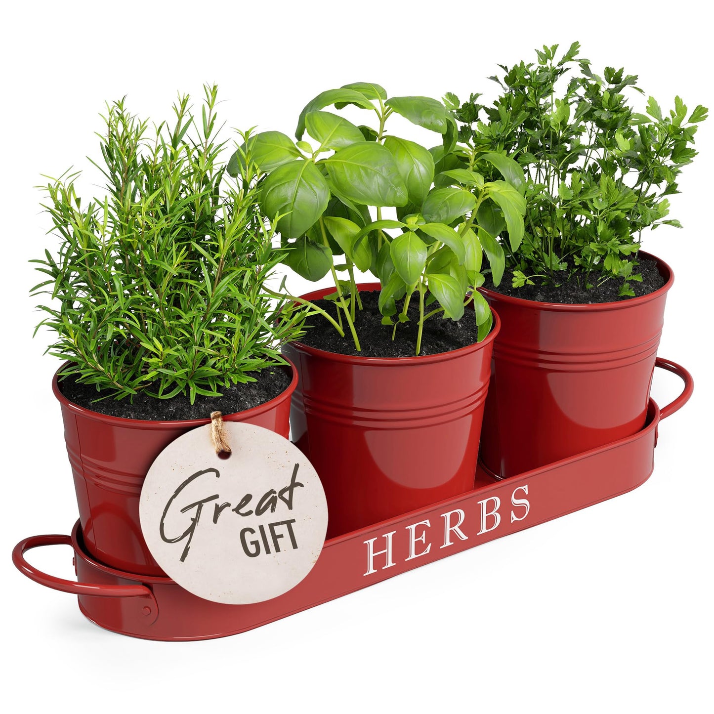 Barnyard Designs Indoor Herb Garden Planter Set with Tray, Metal Windowsill Plant Pots with Drainage for Outdoor or Indoor Plants, Set/3 (Soft Mint)