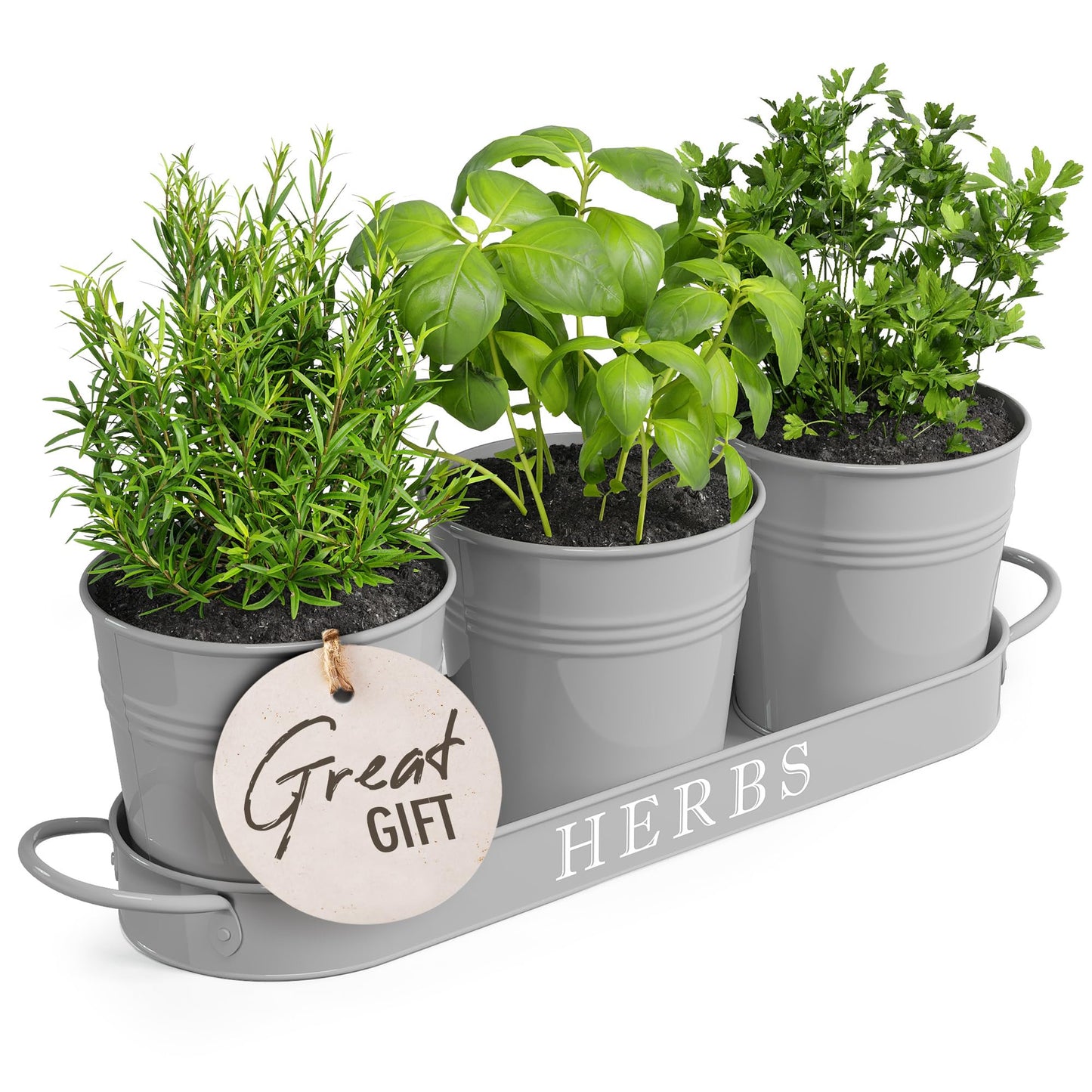 Barnyard Designs Indoor Herb Garden Planter Set with Tray, Metal Windowsill Plant Pots with Drainage for Outdoor or Indoor Plants, Set/3 (Soft Mint)