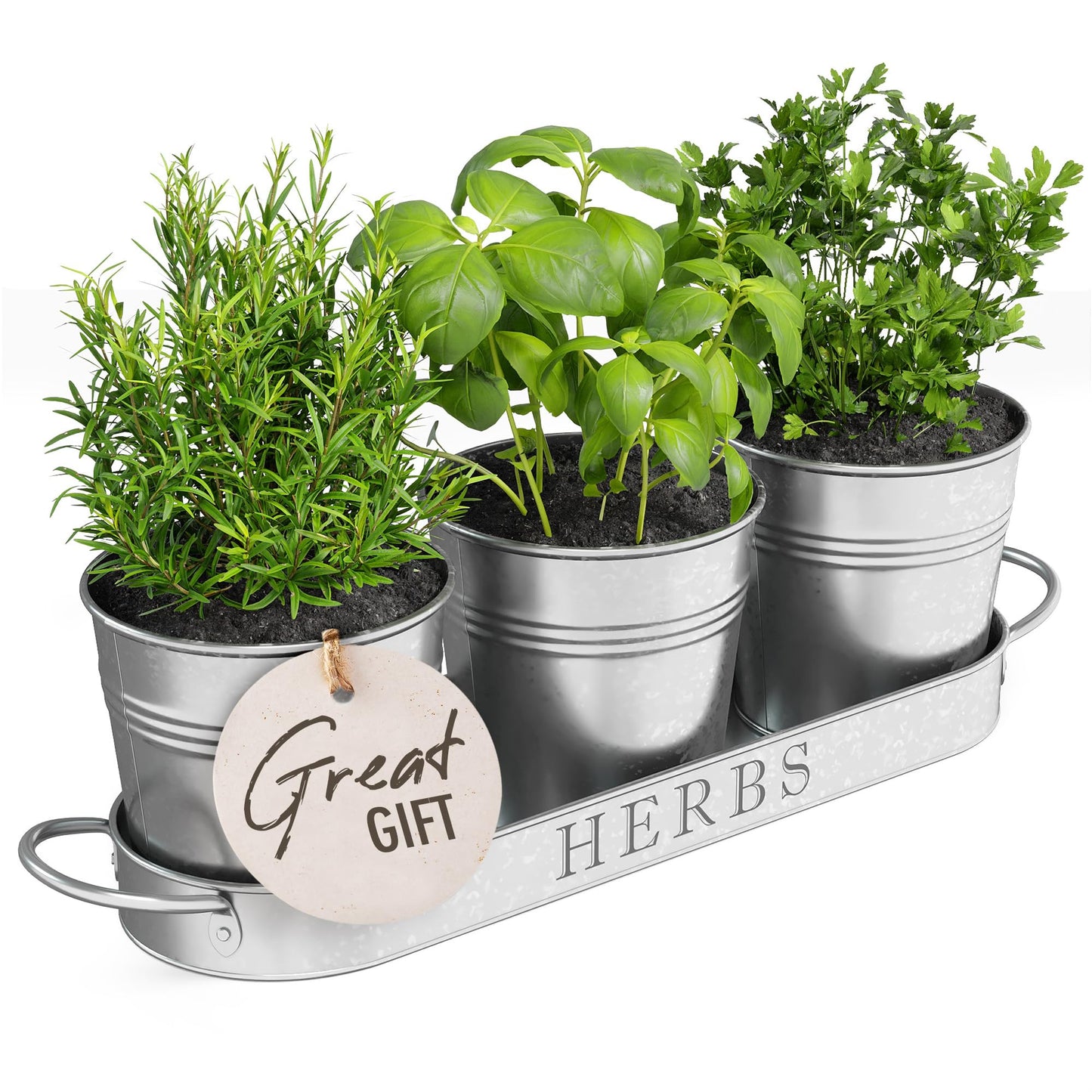 Barnyard Designs Indoor Herb Garden Planter Set with Tray, Metal Windowsill Plant Pots with Drainage for Outdoor or Indoor Plants, Set/3 (Soft Mint)