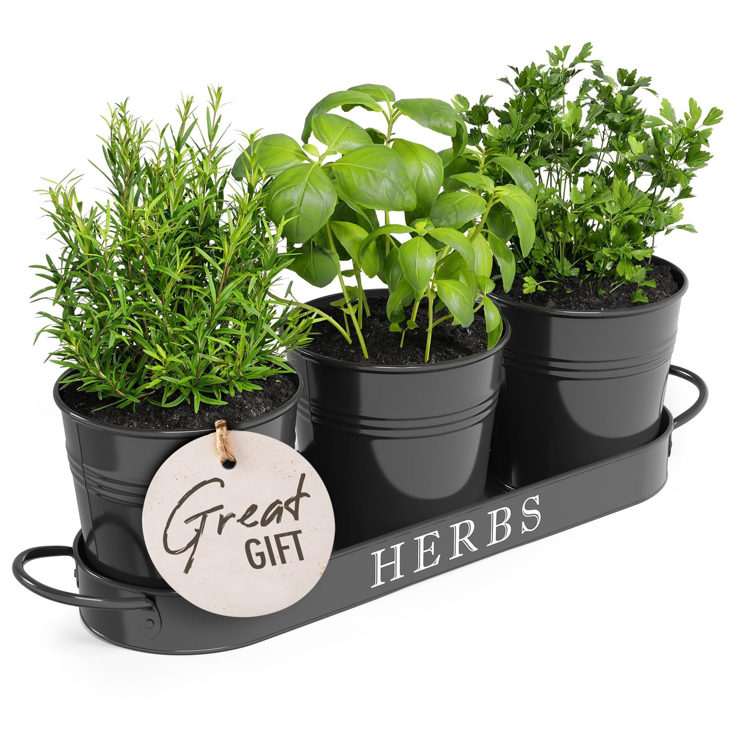 Barnyard Designs Indoor Herb Garden Planter Set with Tray, Metal Windowsill Plant Pots with Drainage for Outdoor or Indoor Plants, Set/3 (Soft Mint)